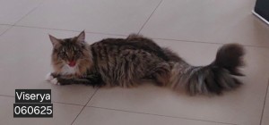 20250606_175751.jpg